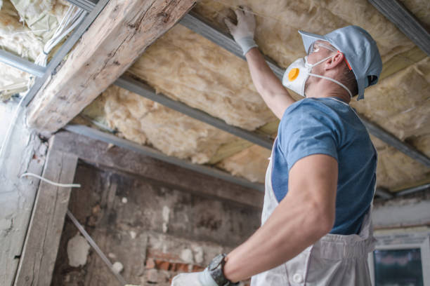 Best Insulation Installation Cost  in USA